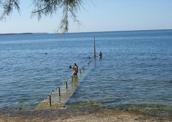 Luca Ap4, In Front Of The Novigrad Istria